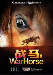 在线观看战马,跨越时空的骏骑传奇