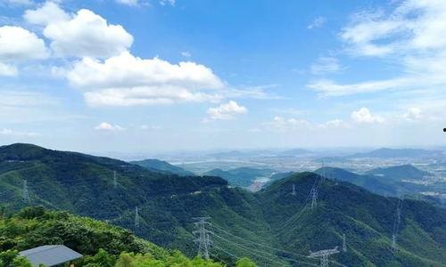 风景最新爆料视频,震撼视频带你领略绝美风光